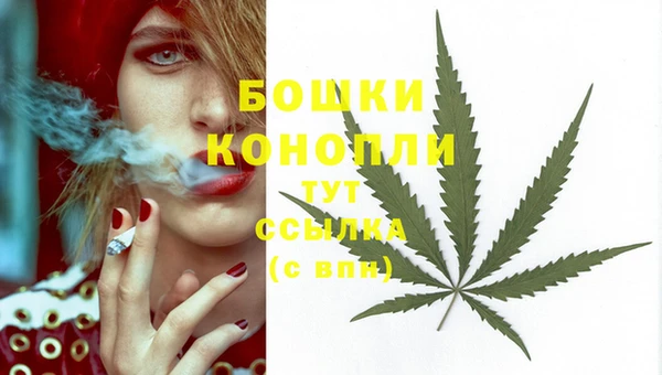 амф Корсаков