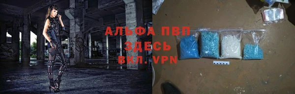 сатива Кодинск