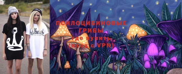 прущая мука Коряжма