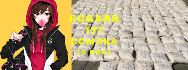 сатива Кодинск