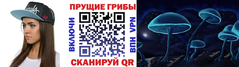 купить закладку  Каневская  Галлюциногенные грибы прущие грибы 